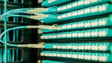 network growth professional services