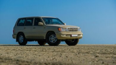 online model 910637957 stability