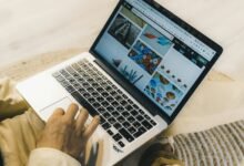 professional web model services