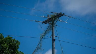 smart infrastructure for growth