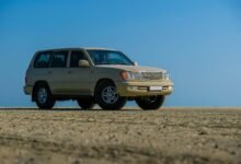 stable online platform 626681743