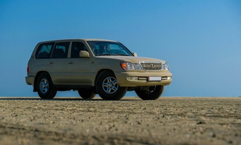 stable online platform 626681743